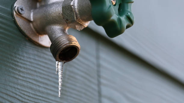 Best Plumbing Repair Near Me  in Plainview, NE